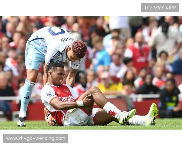 南美球员为何不适应英超高强度比赛环境？原因详解