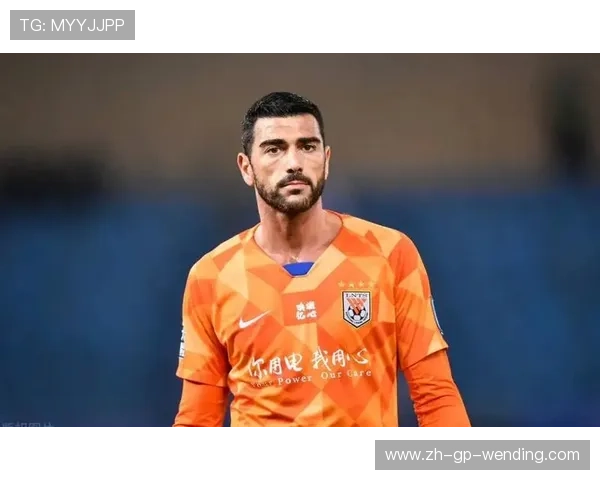 鲁能球员曾效力的意甲球队盘点与表现